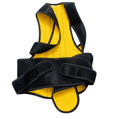 Adjustable Posture Corrector Back Belt for Men & Women with Breathable Support Straps, Shoulder & Back Support Brace Available in M/L (32–40) and XL/2XL (42–52) Sizes