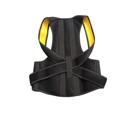 Adjustable Posture Corrector Back Belt for Men & Women with Breathable Support Straps, Shoulder & Back Support Brace Available in M/L (32–40) and XL/2XL (42–52) Sizes