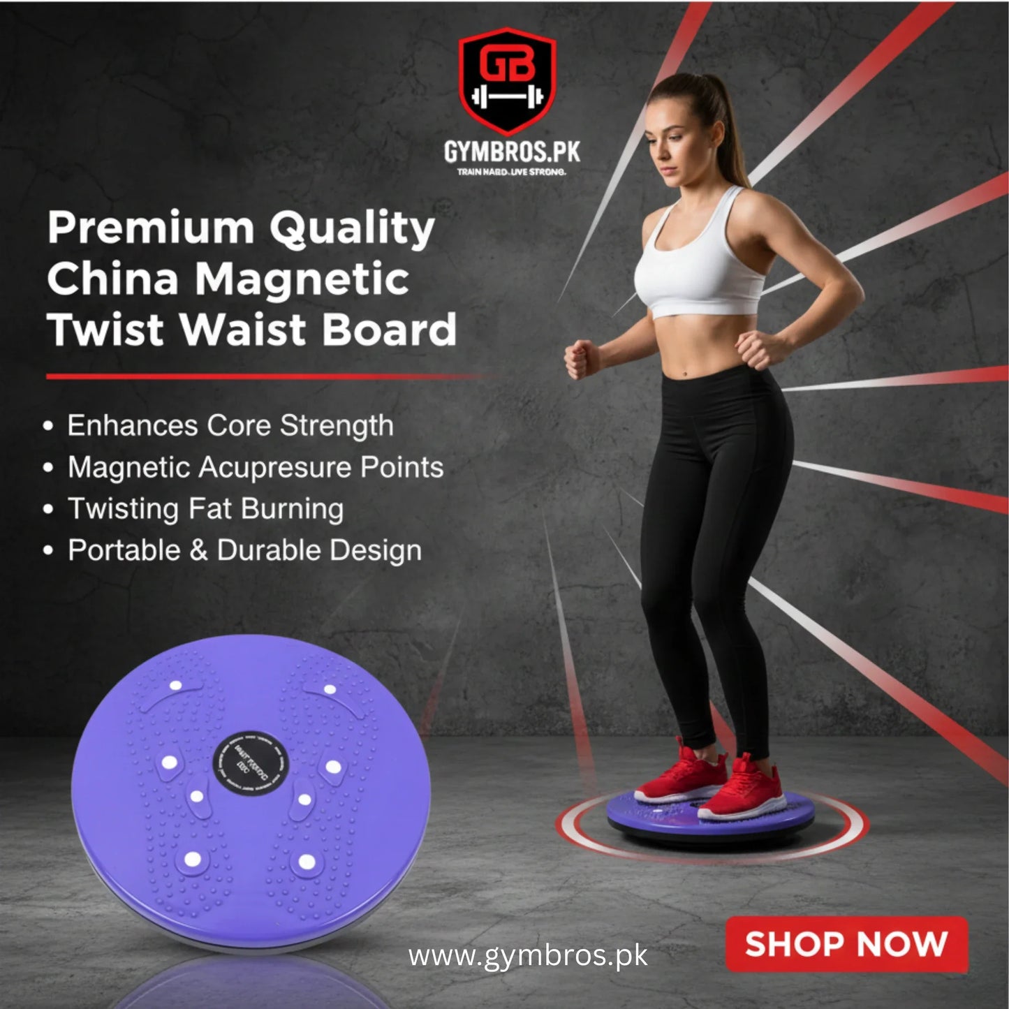Premium Quality China Magnetic Twist Waist Board – Multifunctional Swing Plate for Core & Waist Exercise