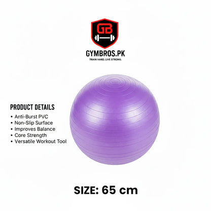 Anti-Burst Exercise Gym Ball with Air Pump, Non-Slip Yoga Stability Ball in 25CM, 65CM, 75CM, 85CM & 100CM Sizes for Core Strength, Balance, Home Workout & Physical Therapy