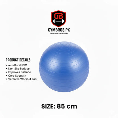 Anti-Burst Exercise Gym Ball with Air Pump, Non-Slip Yoga Stability Ball in 25CM, 65CM, 75CM, 85CM & 100CM Sizes for Core Strength, Balance, Home Workout & Physical Therapy