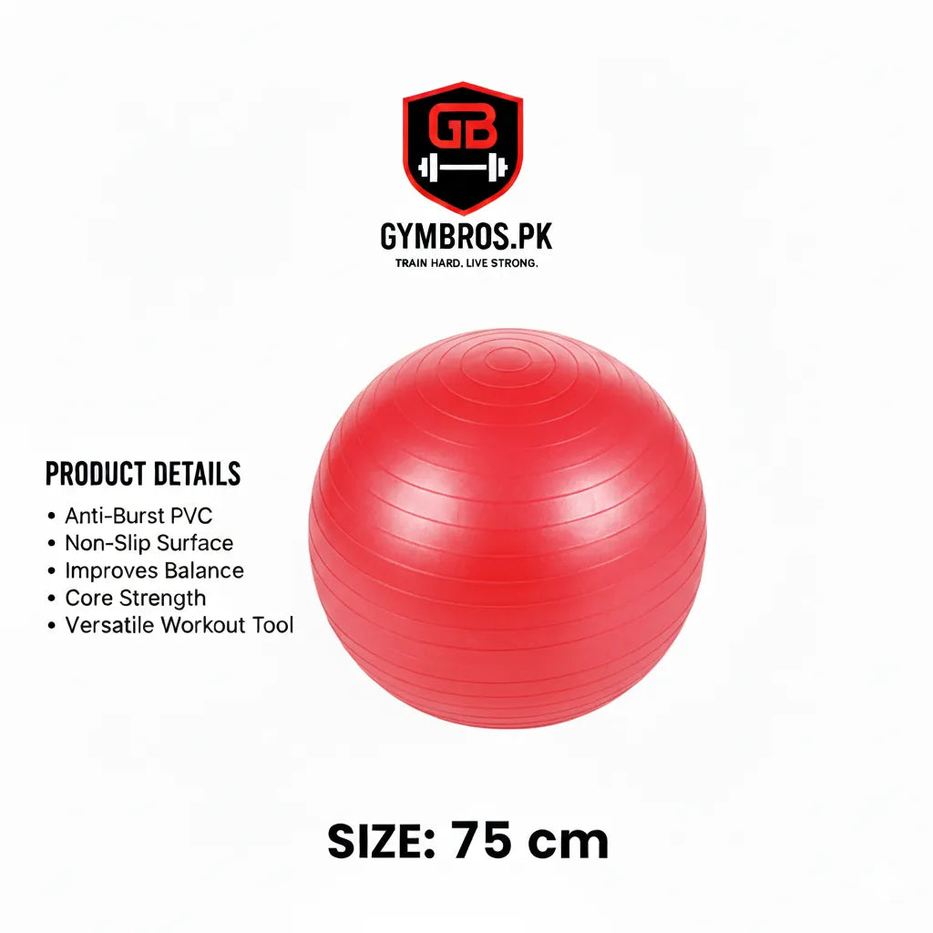 Anti-Burst Exercise Gym Ball with Air Pump, Non-Slip Yoga Stability Ball in 25CM, 65CM, 75CM, 85CM & 100CM Sizes for Core Strength, Balance, Home Workout & Physical Therapy
