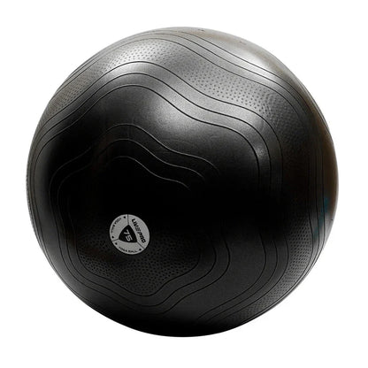 LivePro Anti-Burst Exercise Gym Ball – Professional Stability Ball for Yoga & Core Training (55cm Purple, 65cm Blue, 75cm Black)