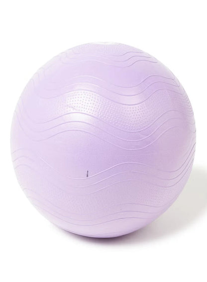 LivePro Anti-Burst Exercise Gym Ball – Professional Stability Ball for Yoga & Core Training (55cm Purple, 65cm Blue, 75cm Black)