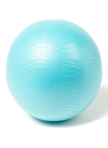 LivePro Anti-Burst Exercise Gym Ball – Professional Stability Ball for Yoga & Core Training (55cm Purple, 65cm Blue, 75cm Black)