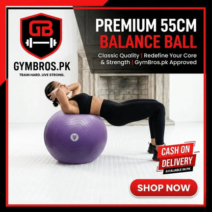 LivePro Anti-Burst Exercise Gym Ball – Professional Stability Ball for Yoga & Core Training (55cm Purple, 65cm Blue, 75cm Black)