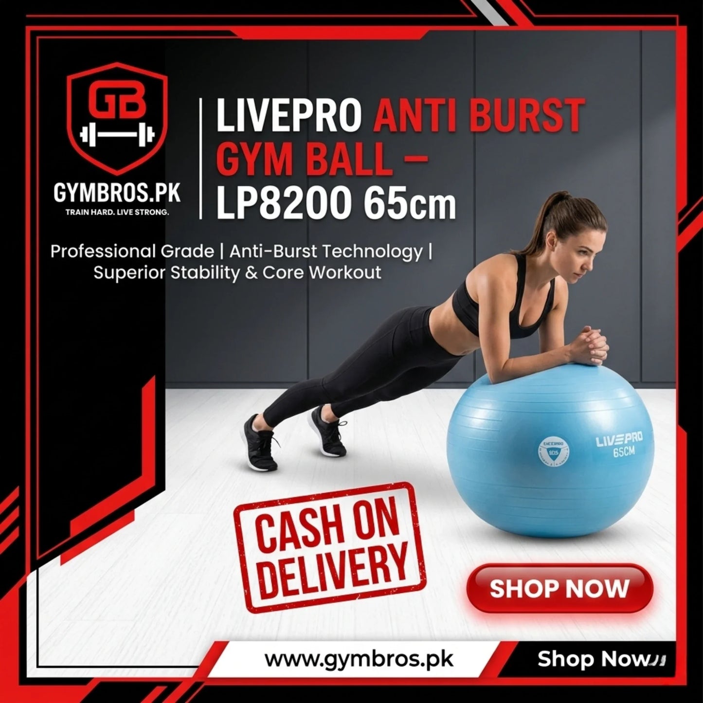LivePro Anti-Burst Exercise Gym Ball – Professional Stability Ball for Yoga & Core Training (55cm Purple, 65cm Blue, 75cm Black)